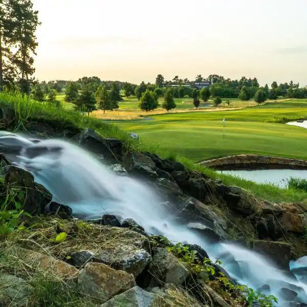 Albatross Golf Resort - Image 8